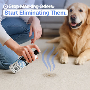 Pet Odor Eliminator Spray