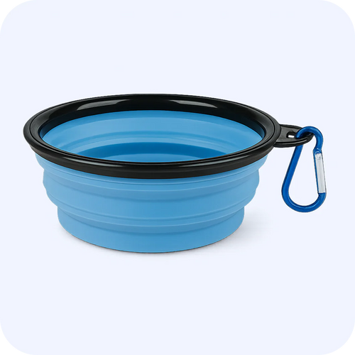 Foldable Bowl