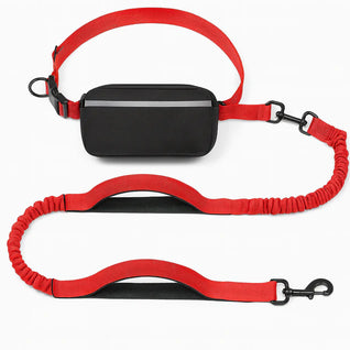 Hands-Free Leash