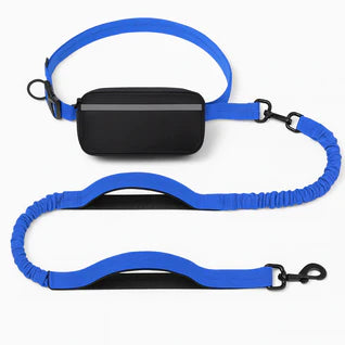 Hands-Free Leash