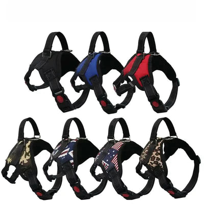 No-Pull Harness