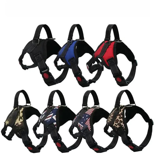 No-Pull Harness